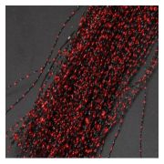 Материал для муховязки Crystall Flach Red-Black