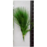 Перо петуха Марабу Green Highlander