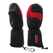 Варежки Alaskan Arctic Patrol Gloves (AWGAPL) (L)