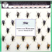 Мушка сухая Жужелица кр Mustad №14