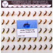 Нимфа Ребристая кр.Kumho №16