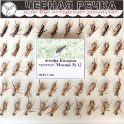 Нимфа Казарка кр Mustad №12