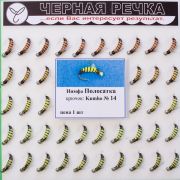 Нимфа Полосатка кр Kumho №14