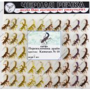 Нимфа Переколомина драйв кр Kamasan №10