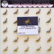 Нимфа Веснянка кр Kamasan №14