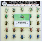 Мушка универсальная Падальщица кр Hayabusa №16