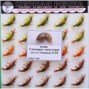 Нимфа Гаммарус лакустрис кр Kamasan №10