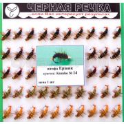 Нимфа Ершик кр Kumho №14