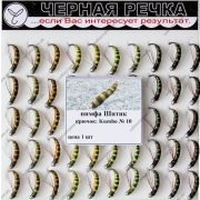 Нимфа Шитик кр Kumho №10
